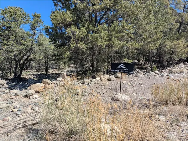 2202 Spanish Creek, Crestone, CO 81131