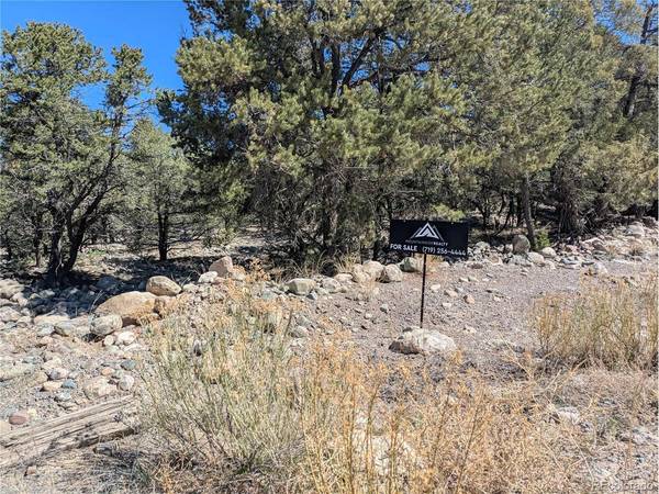 2202 Spanish Creek, Crestone, CO 81131