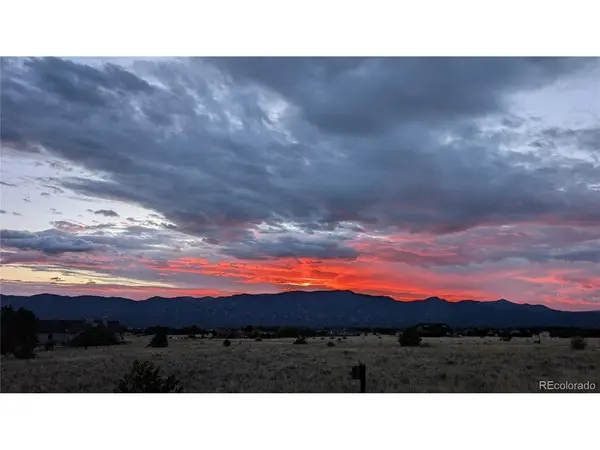 13288 County Road 261p, Nathrop, CO 81236