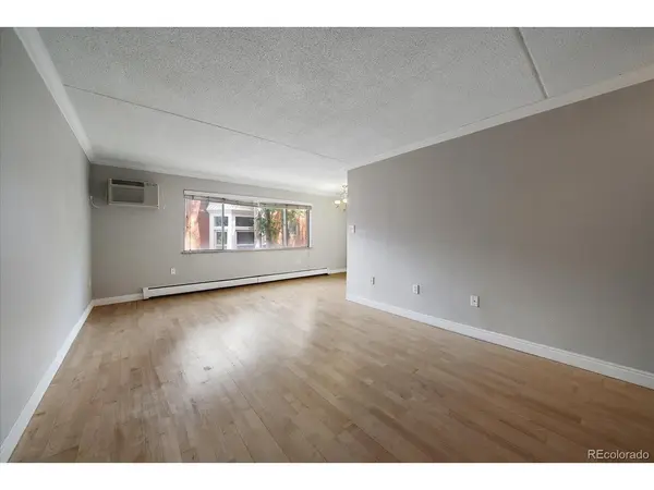 1267 N Lafayette #303, Denver, CO 80218