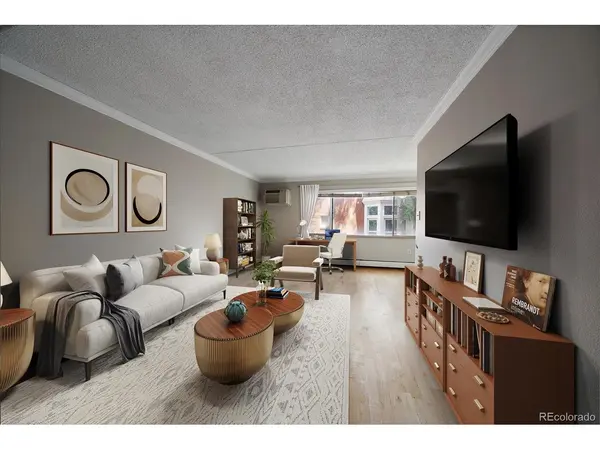 1267 N Lafayette #303, Denver, CO 80218