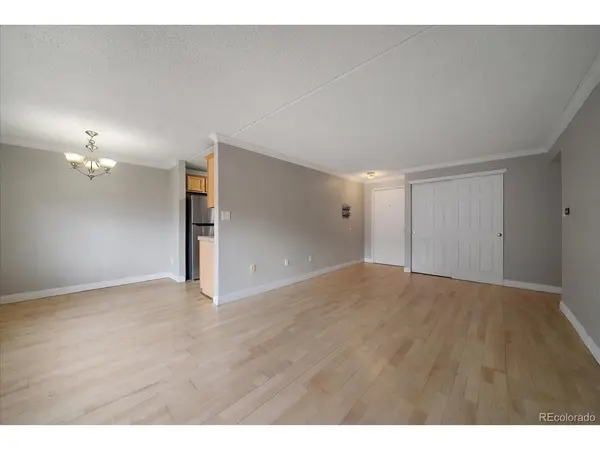 1267 N Lafayette #303, Denver, CO 80218