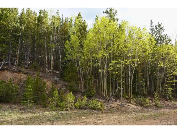 0 Trail Creek, Idaho Springs, CO 80452