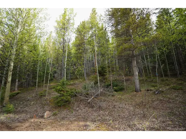 0 Trail Creek, Idaho Springs, CO 80452
