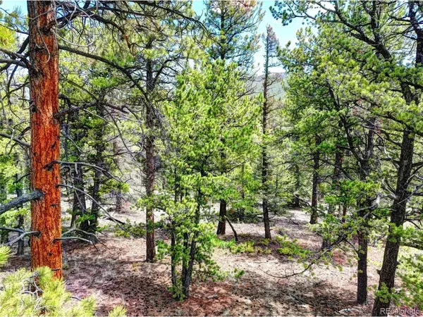 0 York, Jefferson, CO 80456