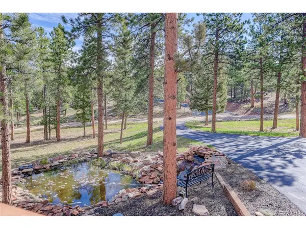 66 Territory, Pine, CO 80470