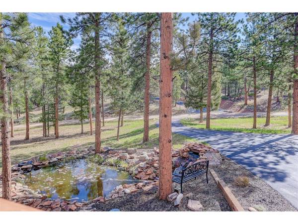 66 Territory, Pine, CO 80470