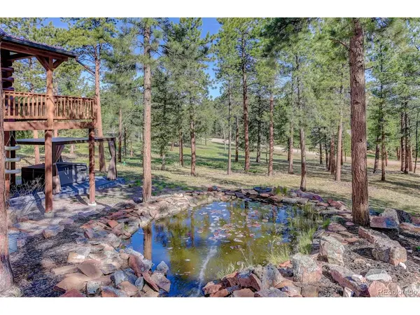 66 Territory, Pine, CO 80470