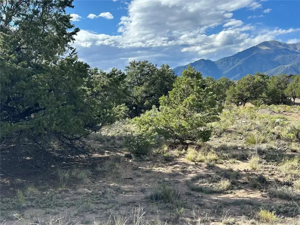 322 Holiday, Crestone, CO 81131