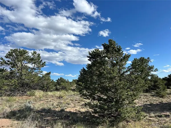 322 Holiday, Crestone, CO 81131