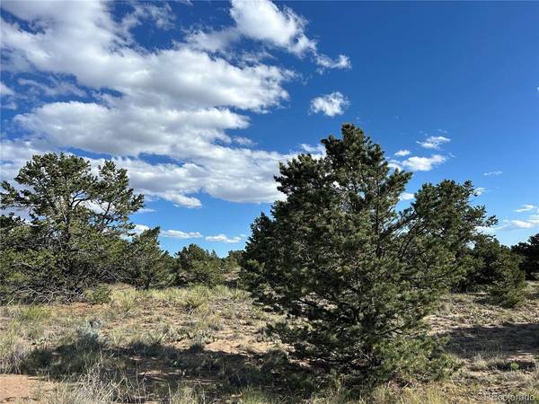 322 Holiday, Crestone, CO 81131