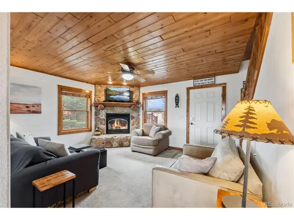 268 Fuller #B, Fairplay, CO 80440
