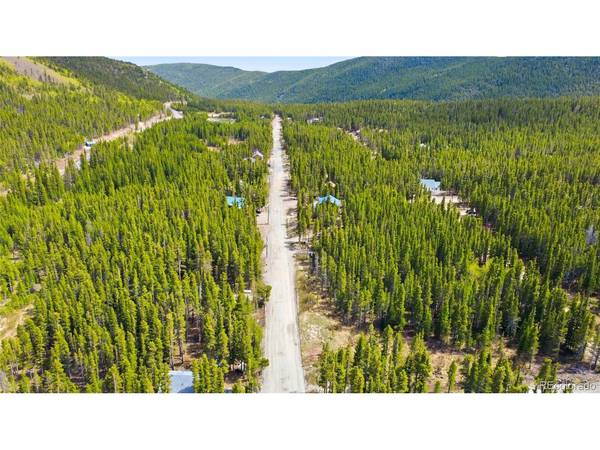 Silver Creek, Idaho Springs, CO 80452