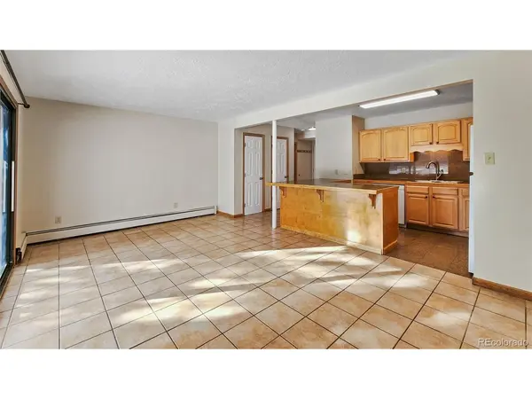 893 Straight Creek #104, Dillon, CO 80435