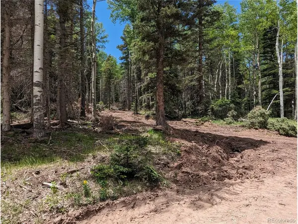 2904 Henderson, Fort Garland, CO 81133