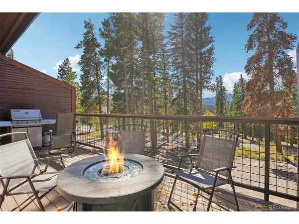 166 S Fuller Placer #6, Breckenridge, CO 80424
