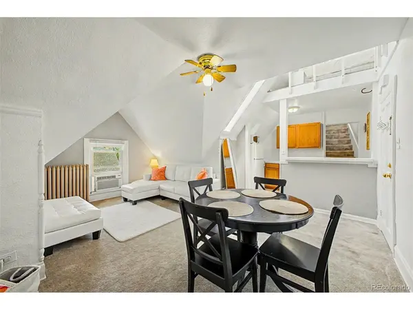 1136 Logan #8, Denver, CO 80203