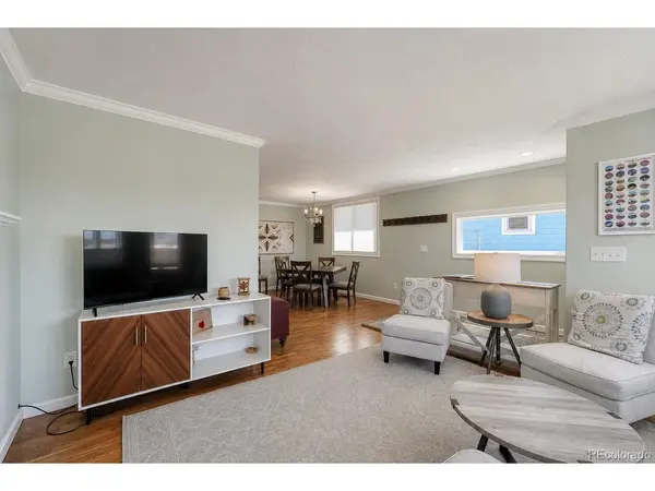 1012 Harrison, Leadville, CO 80461