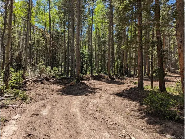 2905 Forbes Park, Fort Garland, CO 81133