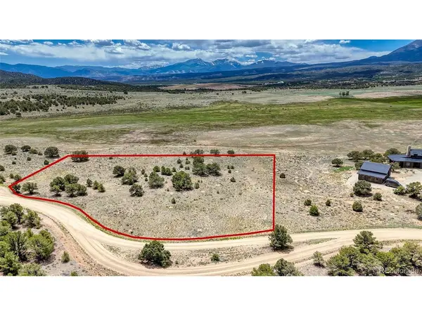 10119 Rawhide Creek, Nathrop, CO 81236
