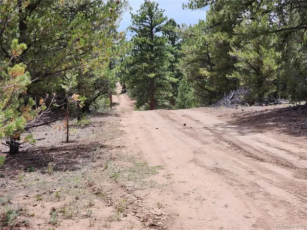0 7TH, Cotopaxi, CO 81223
