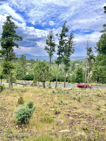 229 CUMMINGS DR, Ruidoso, NM 88345