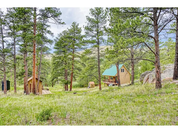 2365 Storm Mountain, Drake, CO 80515