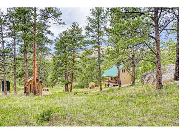 2365 Storm Mountain, Drake, CO 80515
