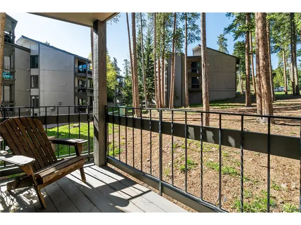 1173 Ski Hill #123, Breckenridge, CO 80424