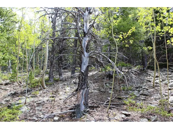 16564 Pennsylvania, Idaho Springs, CO 80461