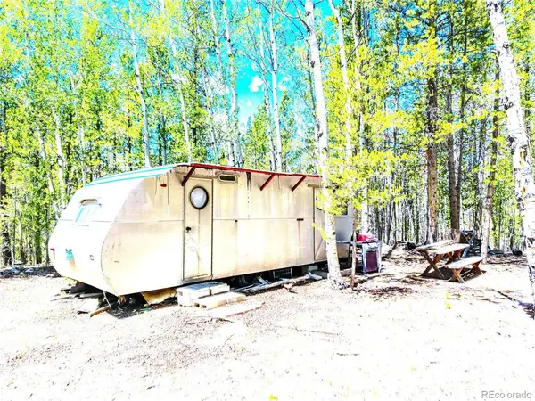 134 Prospect, Alma, CO 80420