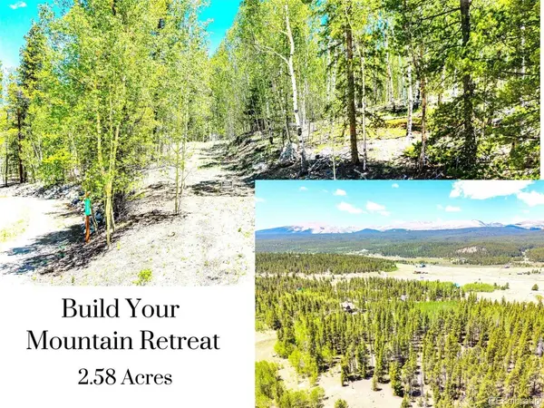134 Prospect, Alma, CO 80420
