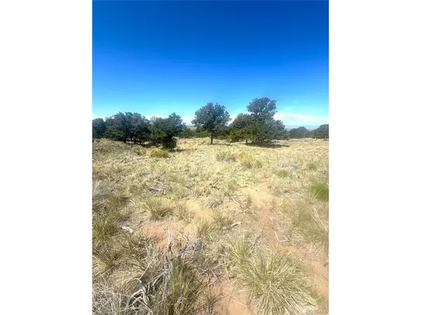 4469 Greenview, Crestone, CO 81131
