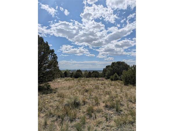 3213 Enchanted, Crestone, CO 81131