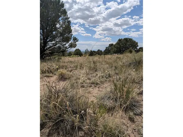 3213 Enchanted, Crestone, CO 81131