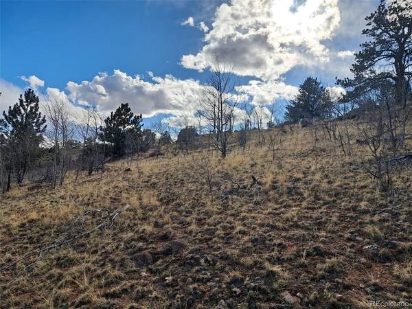 908 Raven, Como, CO 80432