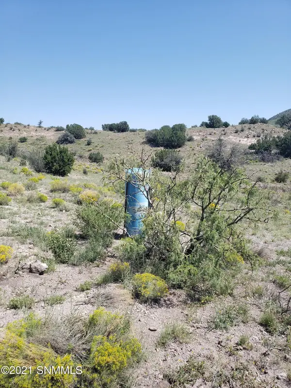 8 Child of Water, Hillsboro, NM 88042