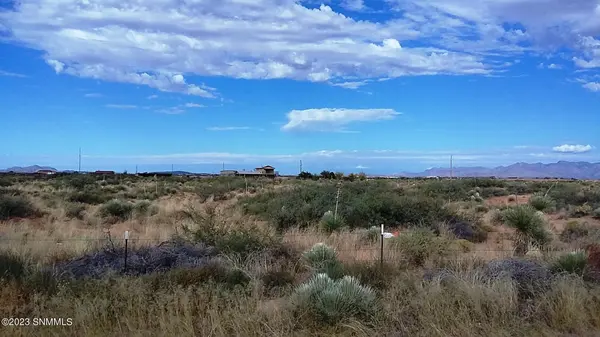 TBD US 54, Chaparral, NM 88081