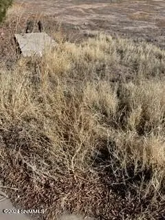 900 Lake Tahoe CT, Las Cruces, NM 88007