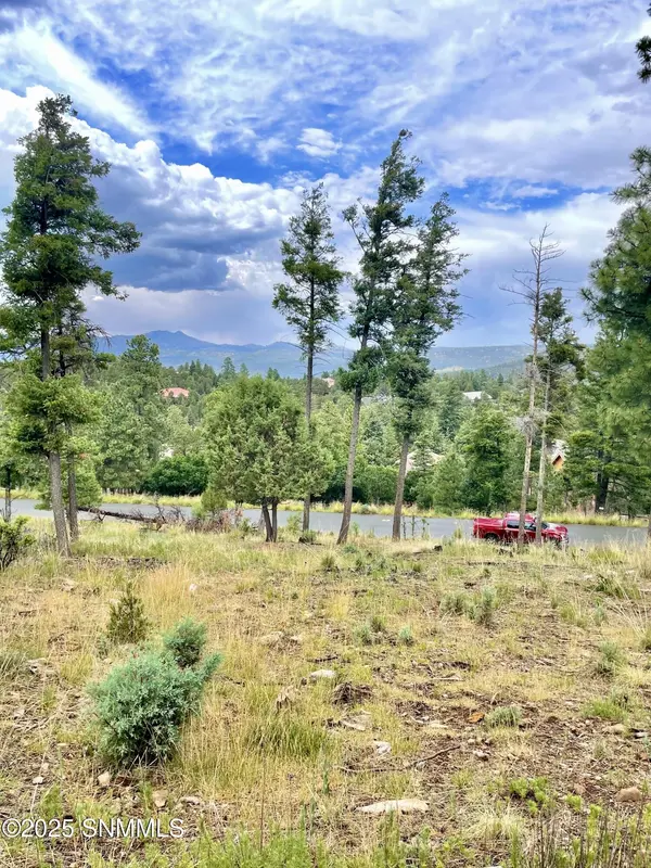 229 CUMMINGS DR, Ruidoso, NM 88345