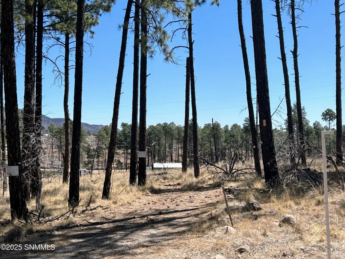 31 Bahamas DR, Cloudcroft, NM 88317
