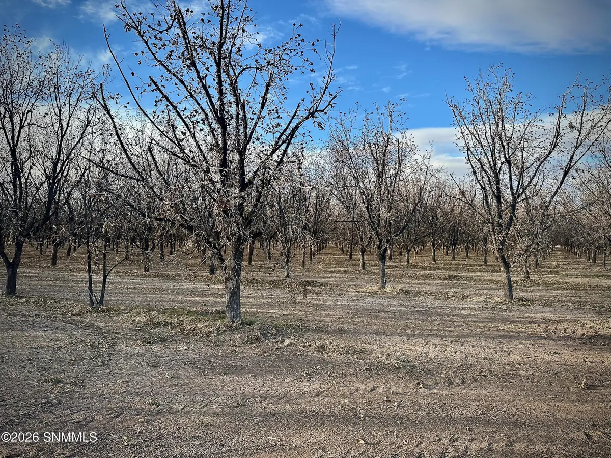 TBA Gillett RD, Anthony, NM 88021
