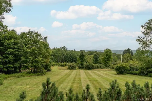 7 Morgan RD, Livingston Manor, NY 12758