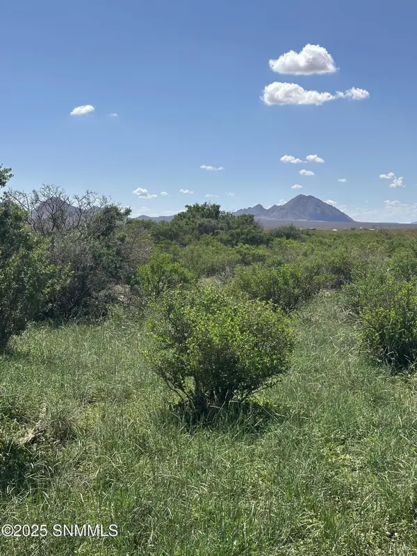 TBD Tasmania AVE, Las Cruces, NM 88012