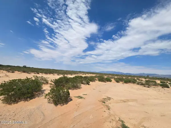 TBD Tasmania AVE, Las Cruces, NM 88012
