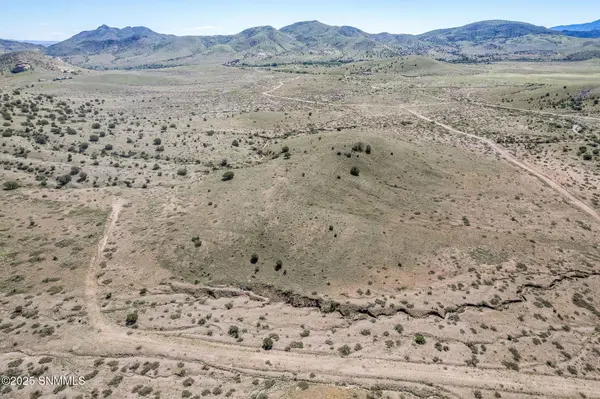 Tbd Tonto RD, Hillsboro, NM 88042