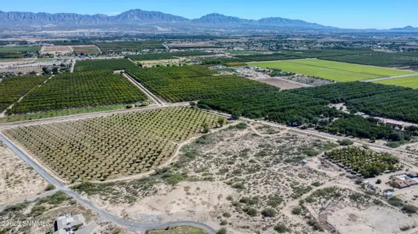 230 Sandy Creek RD, Anthony, NM 88021