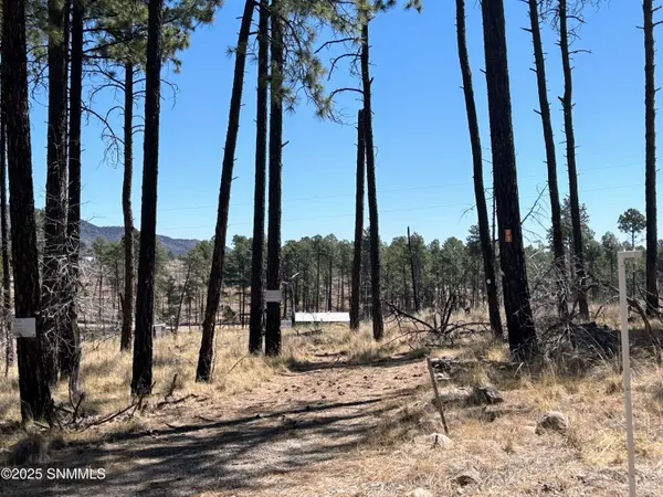 31 Bahamas DR, Cloudcroft, NM 88317