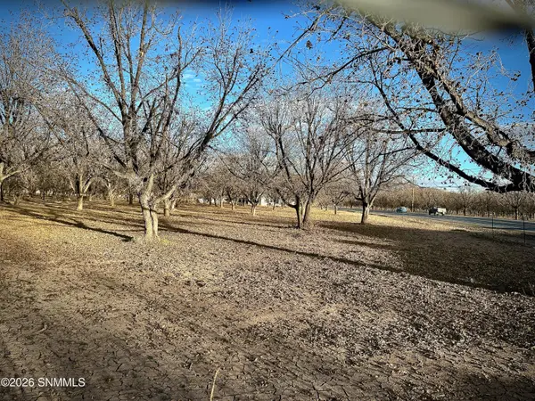 TBA Gillett RD, Anthony, NM 88021