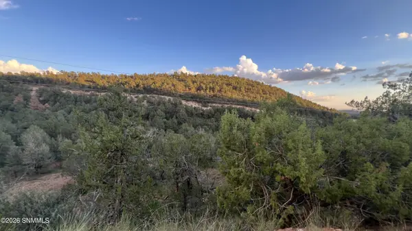 155 Rocky Trail RD, Timberon, NM 88350